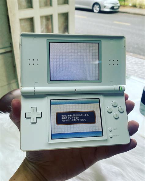 are fake ds lites usable